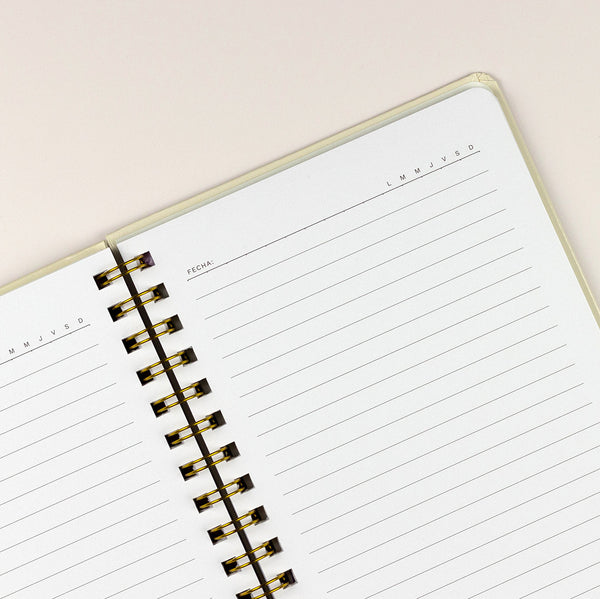 Cuaderno de Líneas Periwinkle