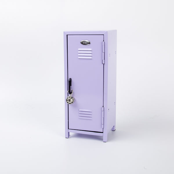 Mini Locker Metálico