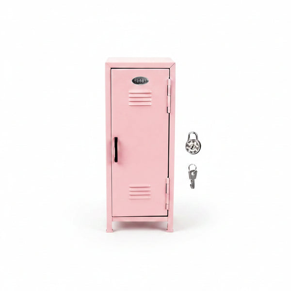 Mini Locker Metálico